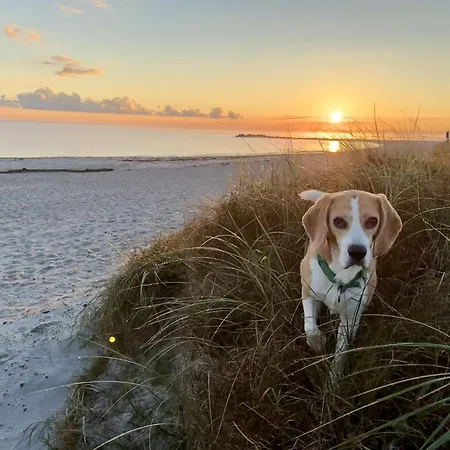 Ankerplatz Mit Meerblick Direkt Am Apartament Kalifornien